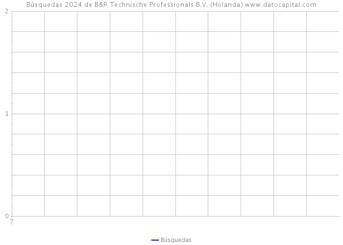 Búsquedas 2024 de B&R Technische Professionals B.V. (Holanda) 