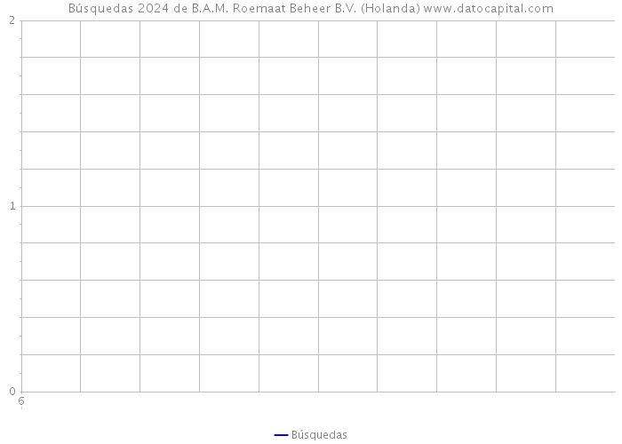 Búsquedas 2024 de B.A.M. Roemaat Beheer B.V. (Holanda) 