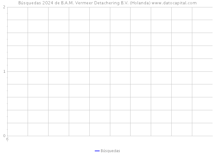 Búsquedas 2024 de B.A.M. Vermeer Detachering B.V. (Holanda) 