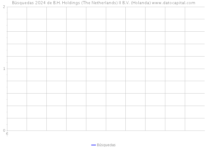 Búsquedas 2024 de B.H. Holdings (The Netherlands) II B.V. (Holanda) 