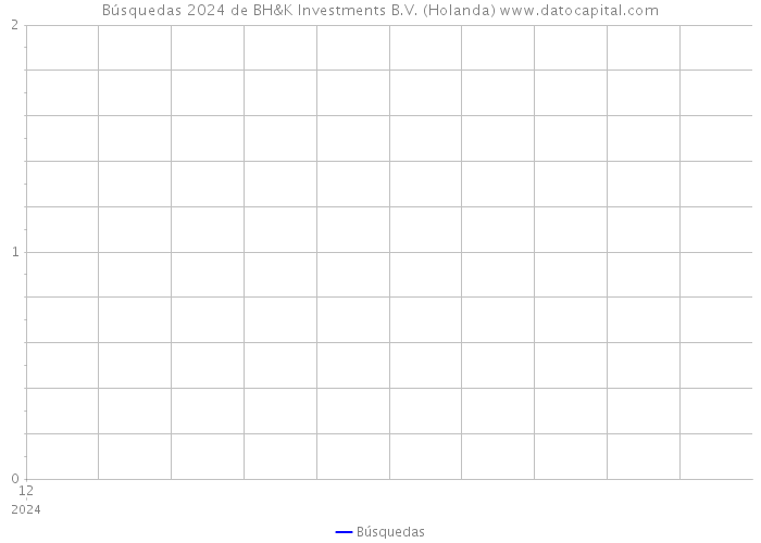 Búsquedas 2024 de BH&K Investments B.V. (Holanda) 