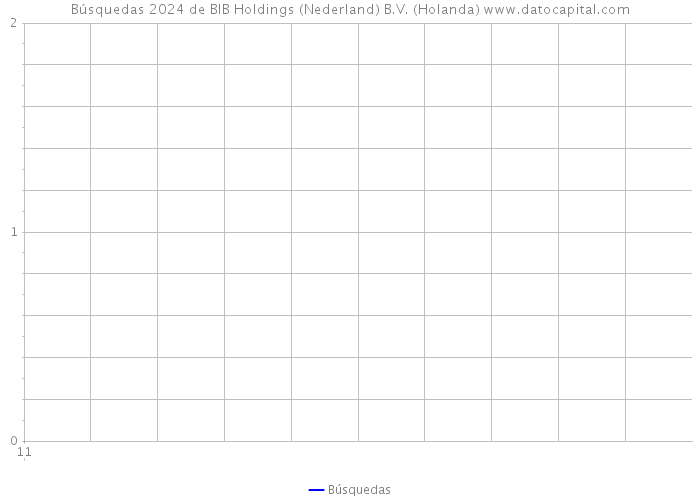 Búsquedas 2024 de BIB Holdings (Nederland) B.V. (Holanda) 