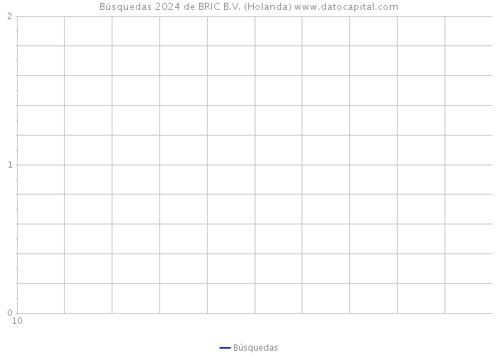 Búsquedas 2024 de BRIC B.V. (Holanda) 