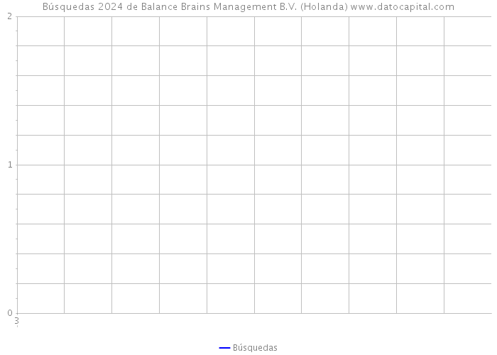 Búsquedas 2024 de Balance Brains Management B.V. (Holanda) 