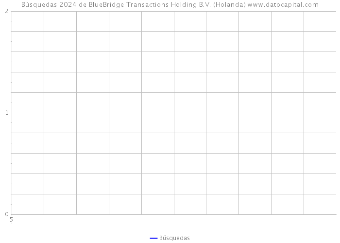 Búsquedas 2024 de BlueBridge Transactions Holding B.V. (Holanda) 