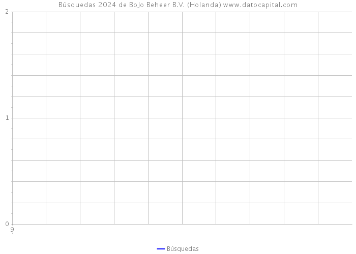 Búsquedas 2024 de BoJo Beheer B.V. (Holanda) 