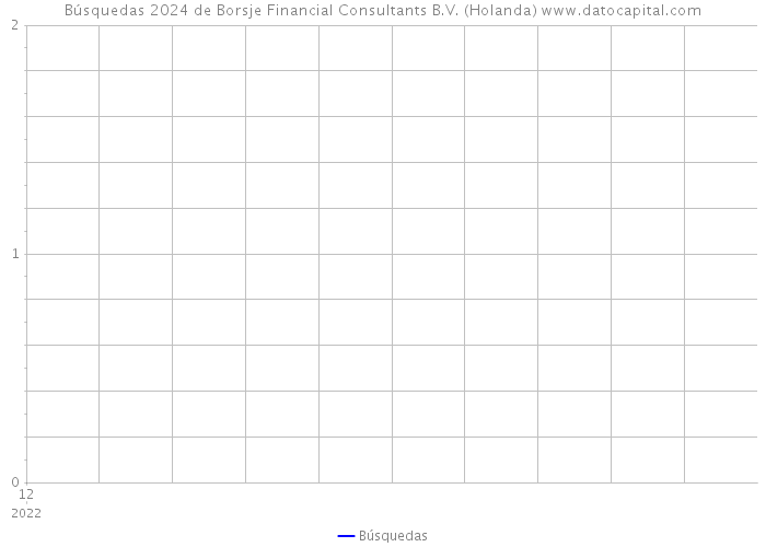 Búsquedas 2024 de Borsje Financial Consultants B.V. (Holanda) 