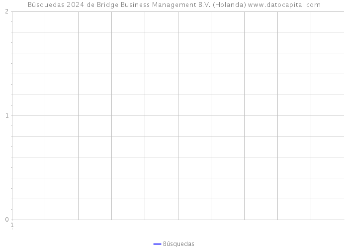 Búsquedas 2024 de Bridge Business Management B.V. (Holanda) 