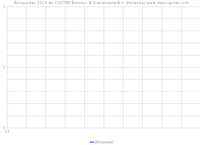 Búsquedas 2024 de COSTER Benelux & Scandinavia B.V. (Holanda) 