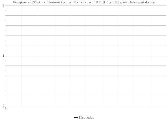 Búsquedas 2024 de Château Capital Management B.V. (Holanda) 