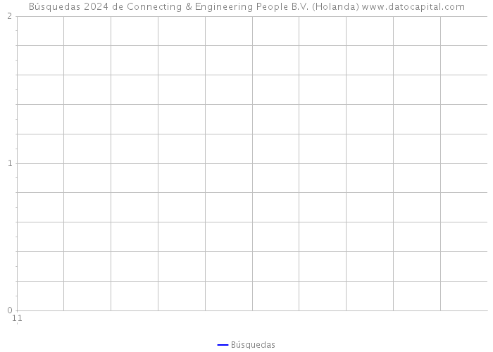 Búsquedas 2024 de Connecting & Engineering People B.V. (Holanda) 