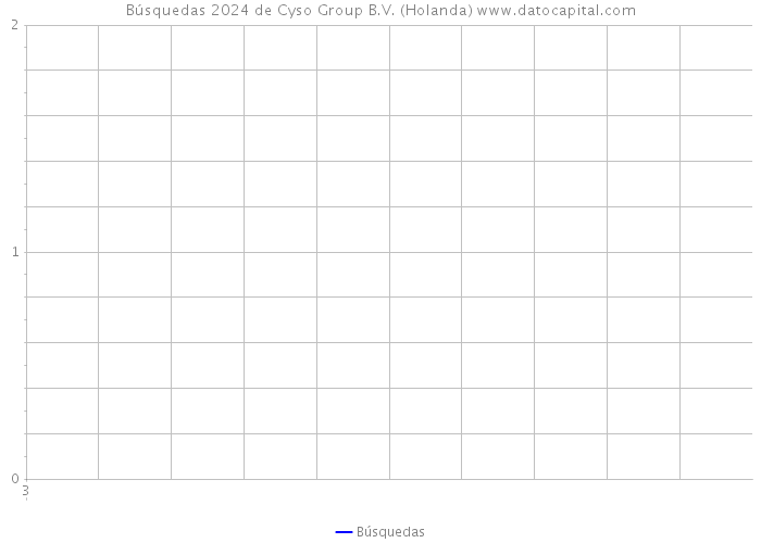 Búsquedas 2024 de Cyso Group B.V. (Holanda) 