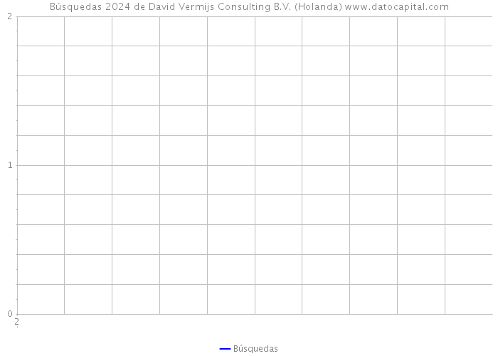 Búsquedas 2024 de David Vermijs Consulting B.V. (Holanda) 