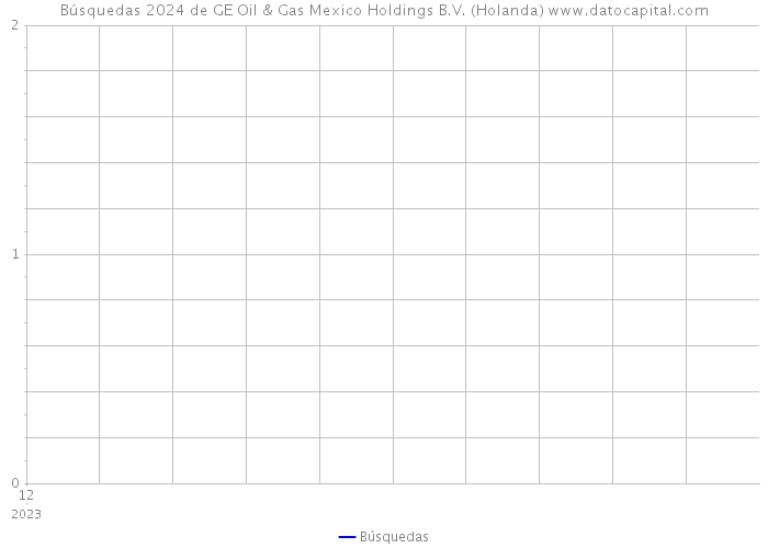 Búsquedas 2024 de GE Oil & Gas Mexico Holdings B.V. (Holanda) 