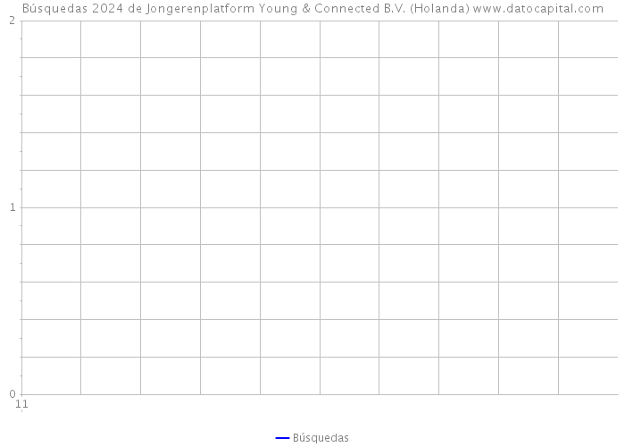 Búsquedas 2024 de Jongerenplatform Young & Connected B.V. (Holanda) 