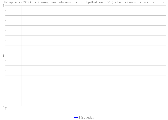 Búsquedas 2024 de Koning Bewindvoering en Budgetbeheer B.V. (Holanda) 