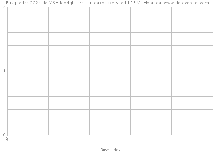 Búsquedas 2024 de M&H loodgieters- en dakdekkersbedrijf B.V. (Holanda) 