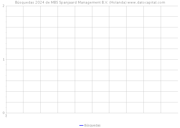 Búsquedas 2024 de MBS Spanjaard Management B.V. (Holanda) 