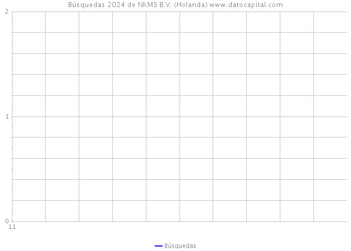 Búsquedas 2024 de NKMS B.V. (Holanda) 