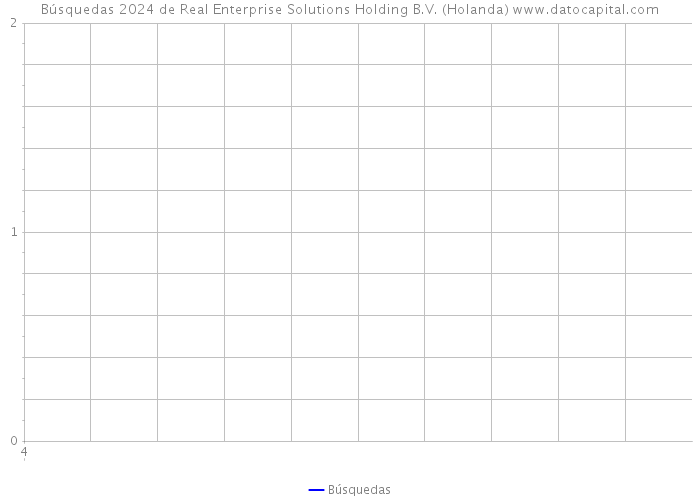 Búsquedas 2024 de Real Enterprise Solutions Holding B.V. (Holanda) 