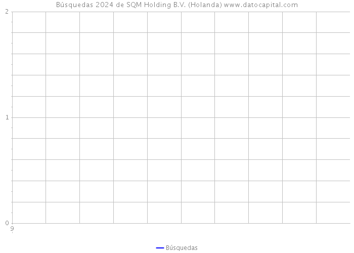 Búsquedas 2024 de SQM Holding B.V. (Holanda) 