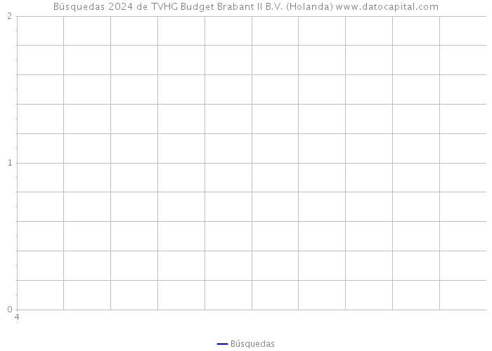 Búsquedas 2024 de TVHG Budget Brabant II B.V. (Holanda) 
