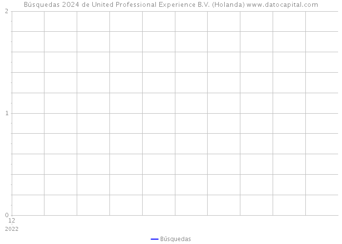 Búsquedas 2024 de United Professional Experience B.V. (Holanda) 