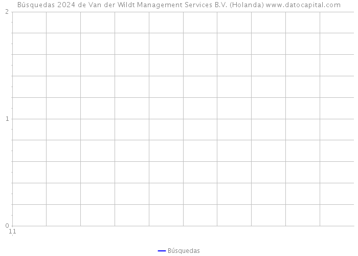 Búsquedas 2024 de Van der Wildt Management Services B.V. (Holanda) 