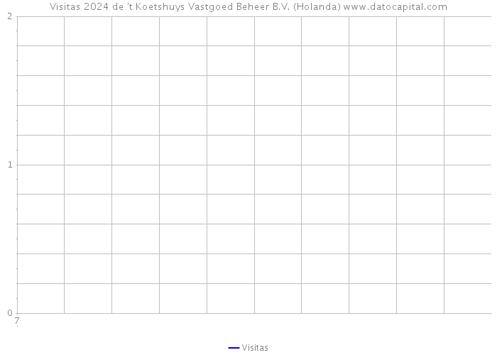 Visitas 2024 de 't Koetshuys Vastgoed Beheer B.V. (Holanda) 