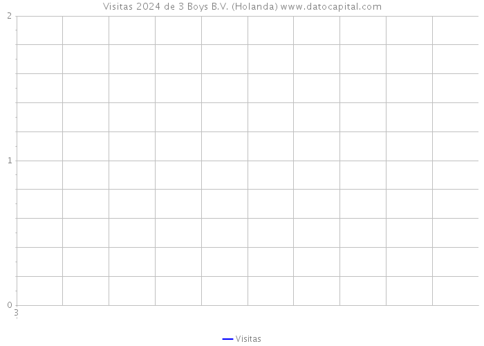 Visitas 2024 de 3 Boys B.V. (Holanda) 