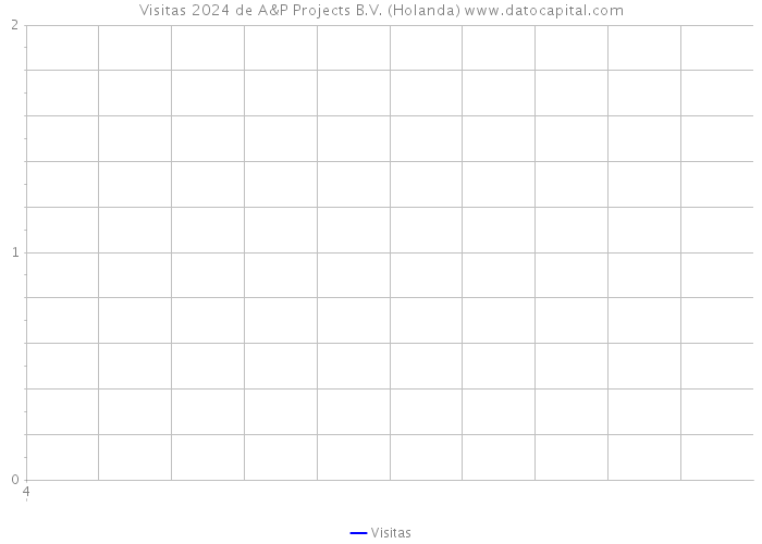 Visitas 2024 de A&P Projects B.V. (Holanda) 