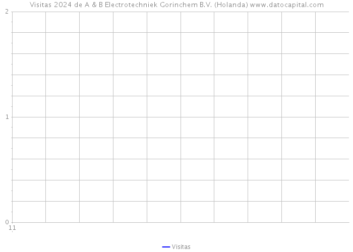 Visitas 2024 de A & B Electrotechniek Gorinchem B.V. (Holanda) 