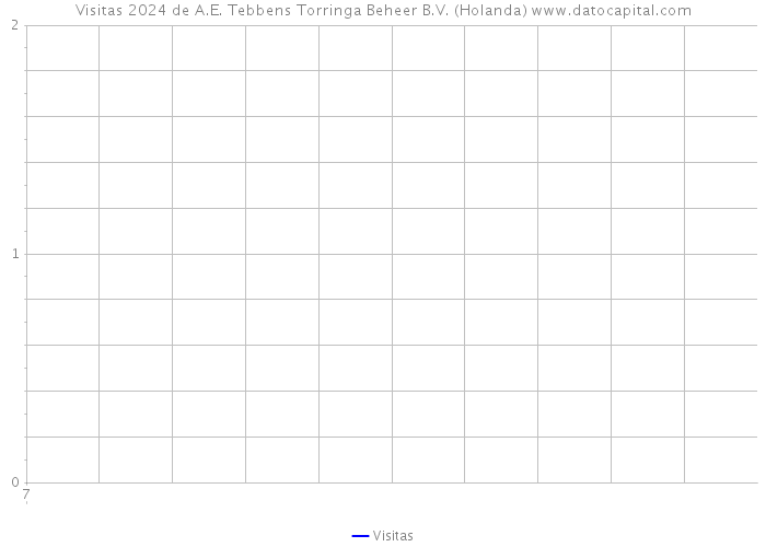 Visitas 2024 de A.E. Tebbens Torringa Beheer B.V. (Holanda) 