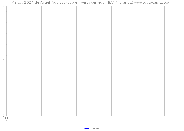 Visitas 2024 de Actief Adviesgroep en Verzekeringen B.V. (Holanda) 