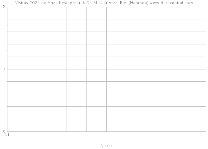 Visitas 2024 de Anesthesiepraktijk Dr. M.K. Küntzel B.V. (Holanda) 