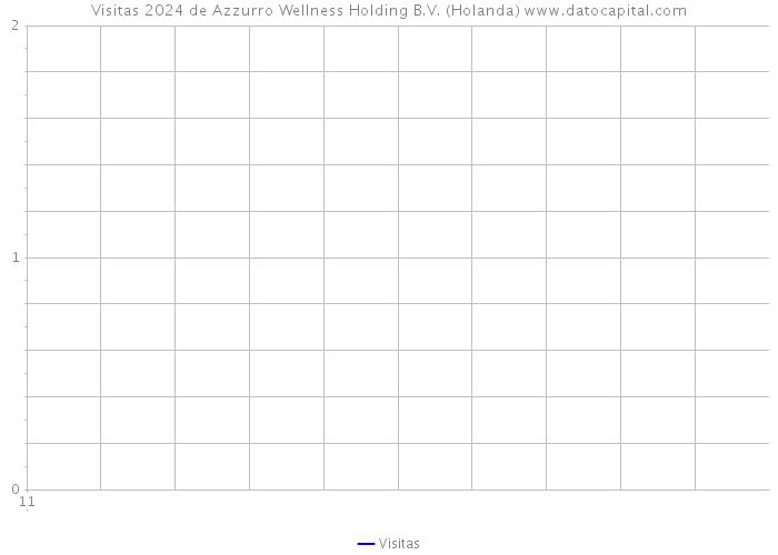 Visitas 2024 de Azzurro Wellness Holding B.V. (Holanda) 