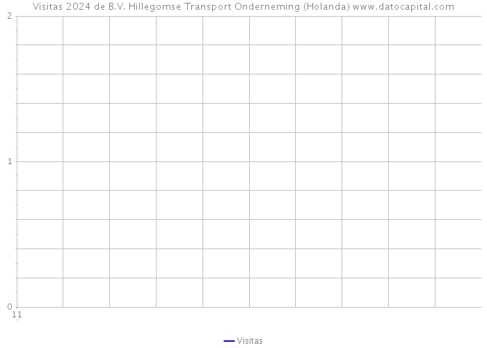 Visitas 2024 de B.V. Hillegomse Transport Onderneming (Holanda) 