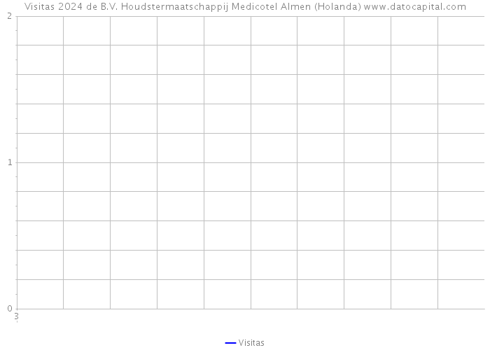 Visitas 2024 de B.V. Houdstermaatschappij Medicotel Almen (Holanda) 