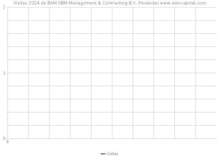 Visitas 2024 de BAM NBM Management & Contracting B.V. (Holanda) 