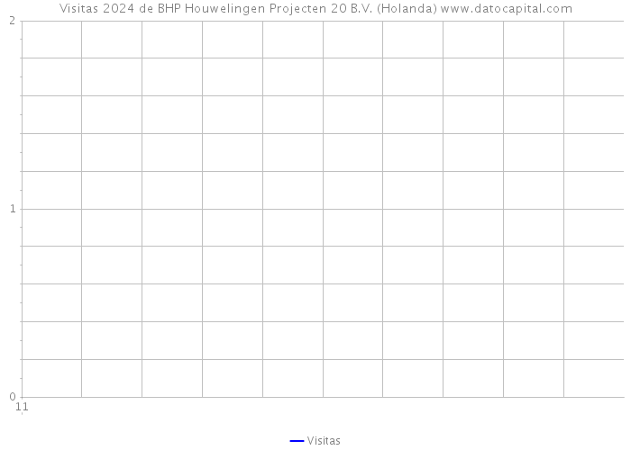 Visitas 2024 de BHP Houwelingen Projecten 20 B.V. (Holanda) 