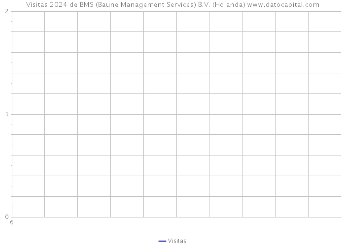 Visitas 2024 de BMS (Baune Management Services) B.V. (Holanda) 