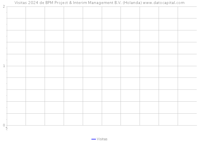 Visitas 2024 de BPM Project & Interim Management B.V. (Holanda) 