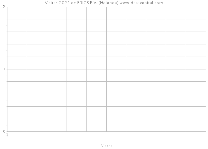 Visitas 2024 de BRICS B.V. (Holanda) 