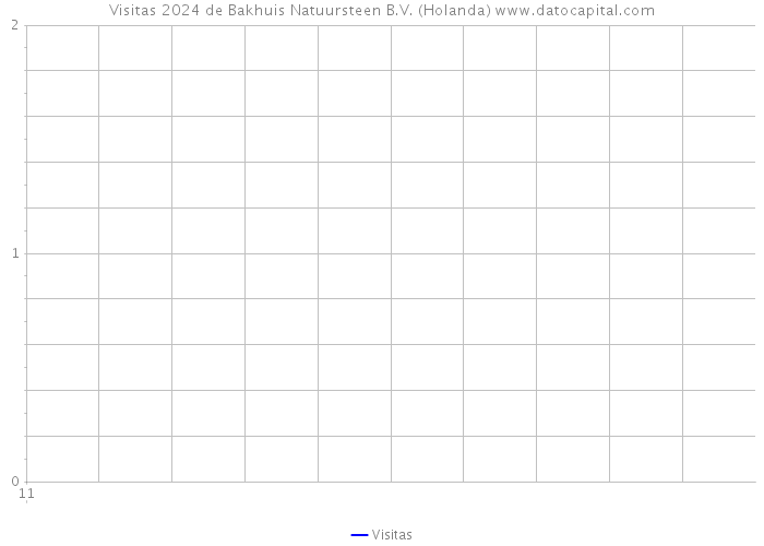 Visitas 2024 de Bakhuis Natuursteen B.V. (Holanda) 