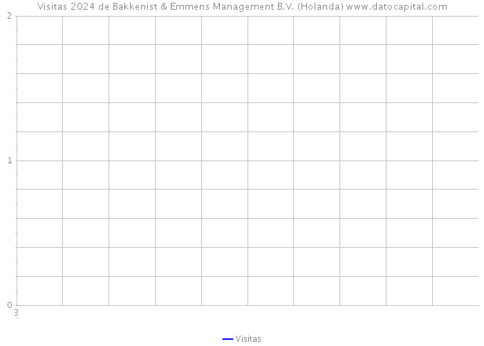 Visitas 2024 de Bakkenist & Emmens Management B.V. (Holanda) 