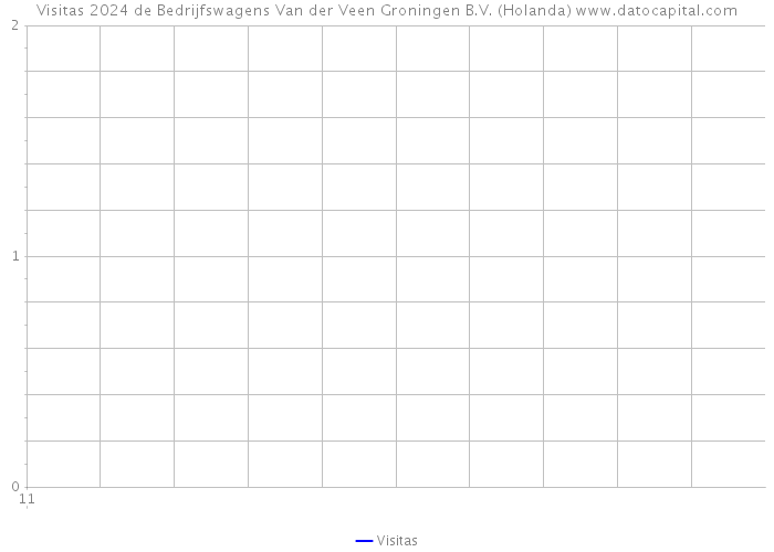 Visitas 2024 de Bedrijfswagens Van der Veen Groningen B.V. (Holanda) 