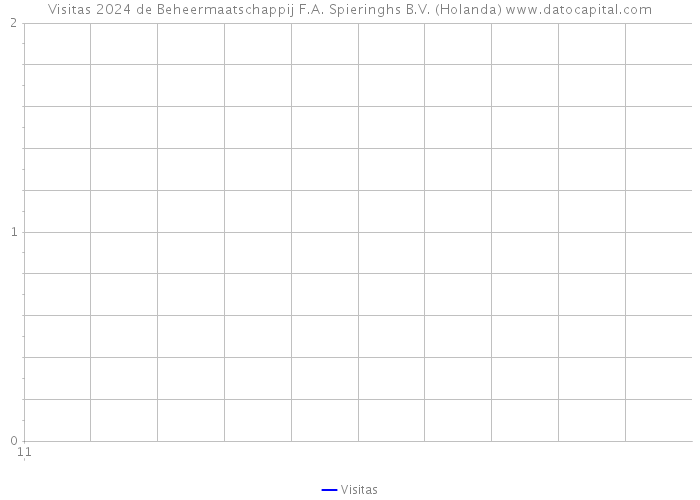 Visitas 2024 de Beheermaatschappij F.A. Spieringhs B.V. (Holanda) 