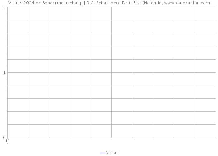 Visitas 2024 de Beheermaatschappij R.C. Schaasberg Delft B.V. (Holanda) 