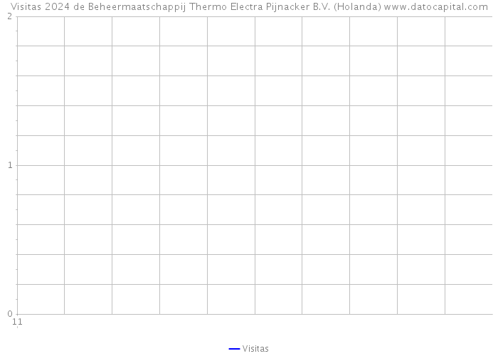Visitas 2024 de Beheermaatschappij Thermo Electra Pijnacker B.V. (Holanda) 