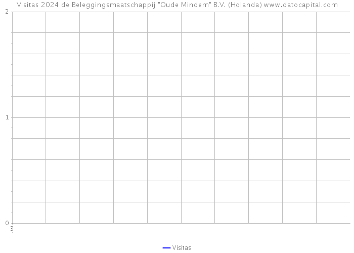 Visitas 2024 de Beleggingsmaatschappij 